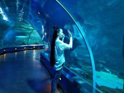 水族館誰負(fù)責(zé)管理：水族館的管理責(zé)任通常由水母館或水族館管理委員會(huì)承擔(dān) 水族館誰負(fù)責(zé)管理：水族館的管理責(zé)任通常由水母館或水族館管理委員會(huì)承擔(dān) 水族館百科（水族館加盟） 第6張