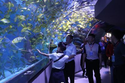 開水族館需要辦什么證件嗎現(xiàn)在（開設(shè)水族館所需的證件及其辦理流程） 開水族館需要辦什么證件嗎現(xiàn)在（開設(shè)水族館所需的證件及其辦理流程） 水族館百科（水族館加盟） 第2張