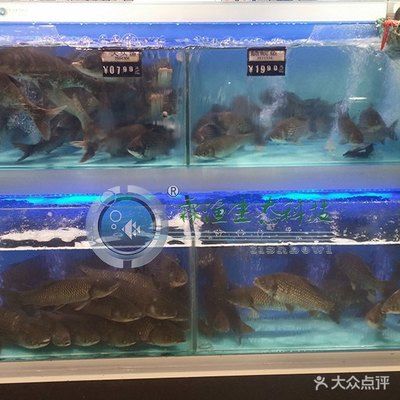 柳州魚缸清洗維護公司電話地址和柳州魚缸清洗服務有限公司介紹