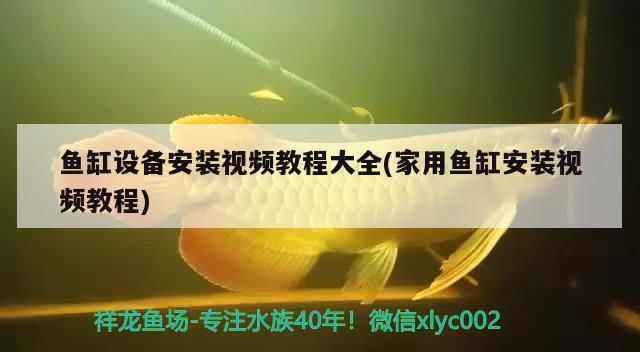 魚缸設備安裝視頻教程大全(家用魚缸安裝視頻教程)