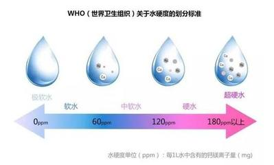 金魚趴底是什么原因？解析金魚沉底不動的可能因素及解決方法，金魚趴底不動的原因及應對措施全解析