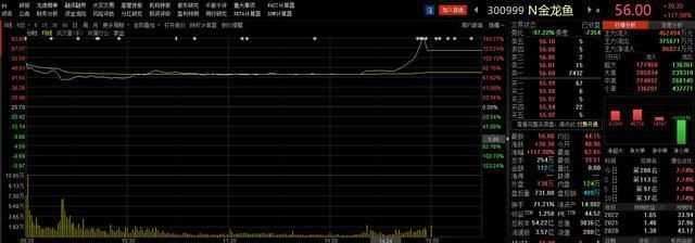 金龍魚銷售收入多少，中國領先的食品公司金龍魚銷售收入呈現穩步增長的趨勢