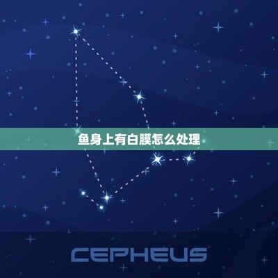 虎魚身上有白膜怎么辦用什么藥好：虎魚身上出現白膜怎么辦用什么藥好