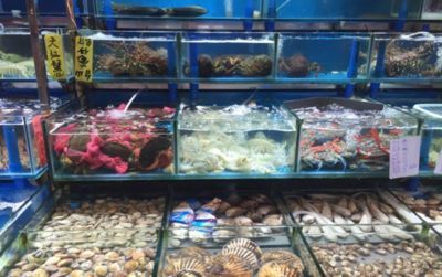 現在水族館生意怎么樣賺錢嗎多少錢（開設水族館門票定價策略研究水族館成功案例有哪些）