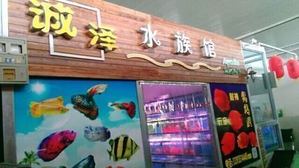 最便宜紅龍魚大概多少錢一條啊：探尋最便宜紅龍魚的價格奧秘
