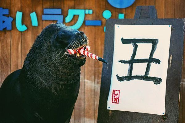 水族館書法主題有哪些（關于“水族館書法主題”的具體詳情） 水族館書法主題有哪些（關于“水族館書法主題”的具體詳情） 水族館百科（水族館加盟） 第4張