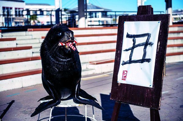 水族館書法主題有哪些（關于“水族館書法主題”的具體詳情） 水族館書法主題有哪些（關于“水族館書法主題”的具體詳情） 水族館百科（水族館加盟） 第5張