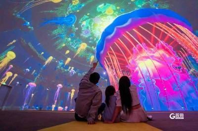 水族館制作廠家（亞克力板材廠家排名水族館制作廠家及其服務范圍）