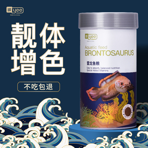 豬鼻龜咬龍魚尾巴會死嗎(豬鼻龜尾巴被咬了咋辦)