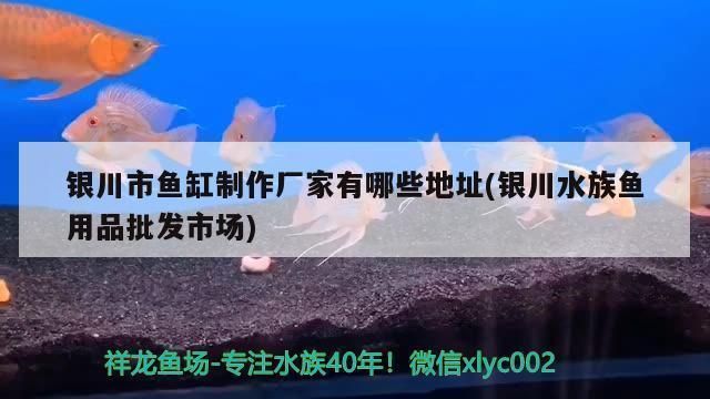 銀川龍魚vs銀川水族批發(fā)市場(chǎng)vs銀川水族館vs銀川魚缸批發(fā)市場(chǎng)vs祥龍魚場(chǎng):銀川魚缸批發(fā)市場(chǎng)價(jià)格