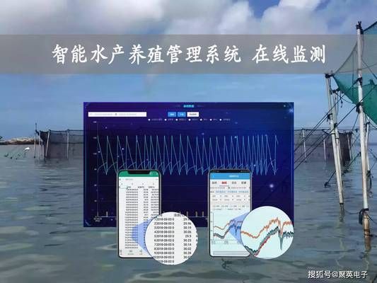 西安定制魚缸店電話地址查詢（ 西安定制魚缸的地方）