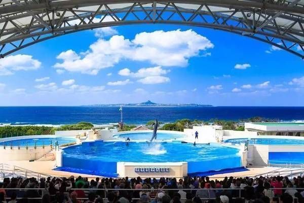 阿拉善盟龍魚vs阿拉善盟水族批發市場vs阿拉善盟水族館vs阿拉善盟魚缸批發市場vs祥龍魚場：阿拉善盟水族市場最新動態 阿拉善盟龍魚vs阿拉善盟水族批發市場vs阿拉善盟水族館vs阿拉善盟魚缸批發市場vs祥龍魚場：阿拉善盟水族市場最新動態 祥龍魚場各市分站 第3張