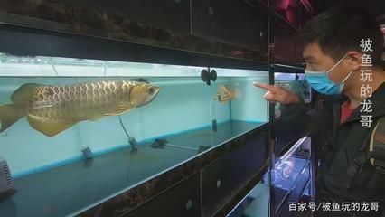 水族館進貨渠道有哪些：水族館如何選擇進貨渠道