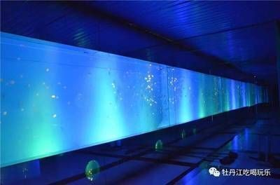 江門龍魚vs江門水族批發(fā)市場vs江門水族館vs江門魚缸批發(fā)市場vs祥龍魚場：江門有哪些水族批發(fā)市場？ 江門龍魚vs江門水族批發(fā)市場vs江門水族館vs江門魚缸批發(fā)市場vs祥龍魚場：江門有哪些水族批發(fā)市場？ 祥龍魚場各市分站 第5張