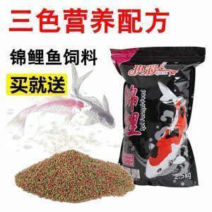 蘇虎魚飼料選擇指南，蘇虎魚飼料搭配建議，蘇虎魚人工飼料適應訓練