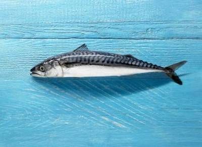 魚缸實體店哪里有賣的呀圖片（ 魚缸專賣店）