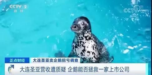 水族館主營業務是什么內容（水族館如何選擇觀賞魚）
