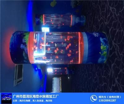 水族館主營業(yè)務(wù)是什么內(nèi)容（水族館如何選擇觀賞魚）