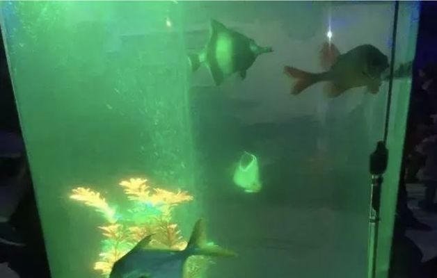 水族館放在客廳哪里？：客廳魚缸風(fēng)水布局技巧