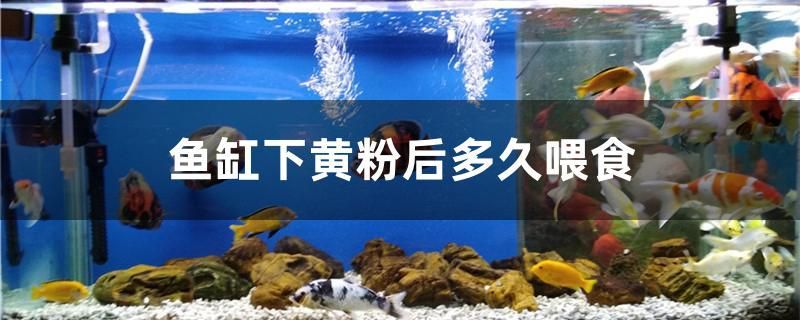 淮南魚缸上門回收電話多少號（淮南金魚批發(fā)） 淮南魚缸上門回收電話多少號（淮南金魚批發(fā)） 錦鯉魚百科 第3張