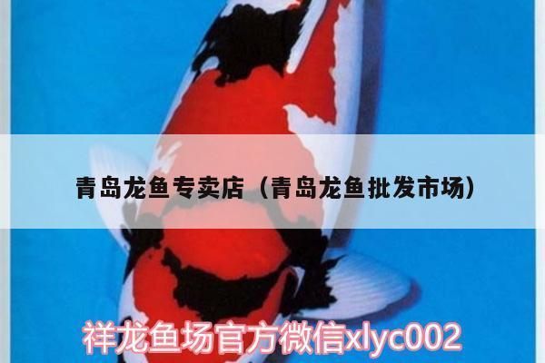 青島龍魚vs青島水族批發市場vs青島水族館vs青島魚缸批發市場vs祥龍魚場：青島水族批發市場價格祥龍魚場口碑評價青島水族批發市場價格