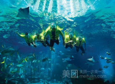 亞特蘭蒂斯水世界和水族館哪個(gè)好（亞特蘭蒂斯水世界和亞特蘭蒂斯水世界和水族館各有特色）