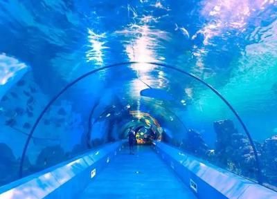 水族館生意不好（探討水族館生意不佳的原因）