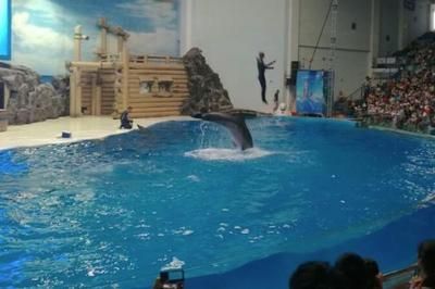 水族館表演時(shí)間（徐州市水族館表演時(shí)間在2019年夏季和節(jié)假日的營(yíng)業(yè)時(shí)間調(diào)整）