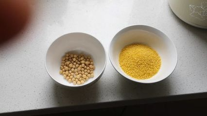 黃金貓魚飼料選購技巧（如何辨別黃金貓魚飼料質量，黃金貓魚飼料保存方法）