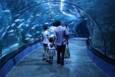 水族館怎么說用英語（水族館是什么意思）
