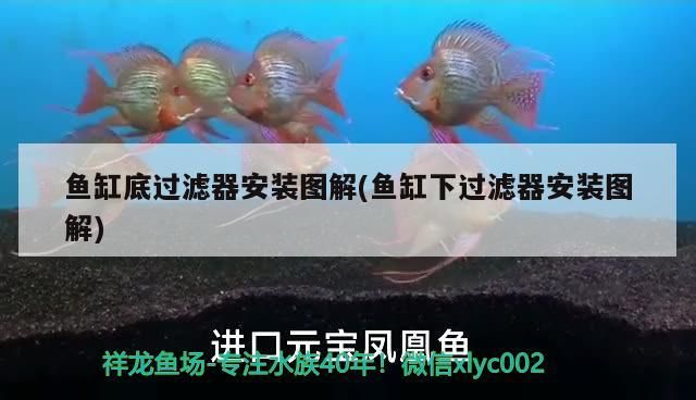 魚缸底過濾器安裝圖解(魚缸下過濾器安裝圖解)