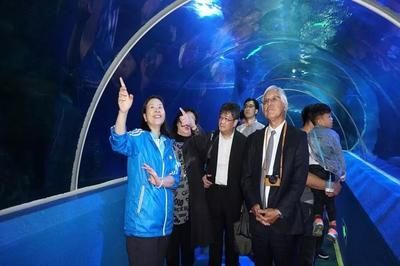 祥龍魚場有哪些推薦的觀賞魚種？，祥龍魚場推薦的幾種觀賞魚品種