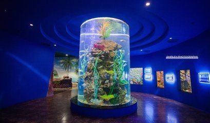 開一個水族館大概需要多少錢（開一個水族館需要多少錢？）