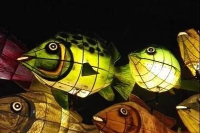 南陽龍魚vs南陽水族批發市場vs南陽水族館vs南陽魚缸批發市場vs祥龍魚場：南陽市水族市場