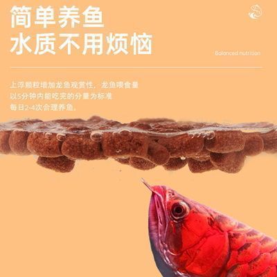 銀龍魚最佳飼養環境，銀龍魚最佳飼養環境應具備以下條件：水溫應在24-28攝氏度之間 銀龍魚最佳飼養環境，銀龍魚最佳飼養環境應具備以下條件：水溫應在24-28攝氏度之間 虎魚百科 第3張