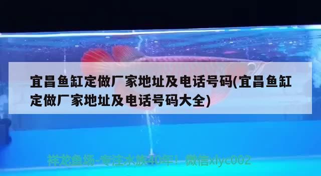 宜昌魚(yú)缸定做廠家地址及電話(huà)號(hào)碼(宜昌魚(yú)缸定做廠家地址及電話(huà)號(hào)碼大全)