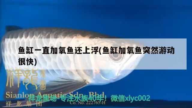 魚缸一直加氧魚還上浮(魚缸加氧魚突然游動很快)