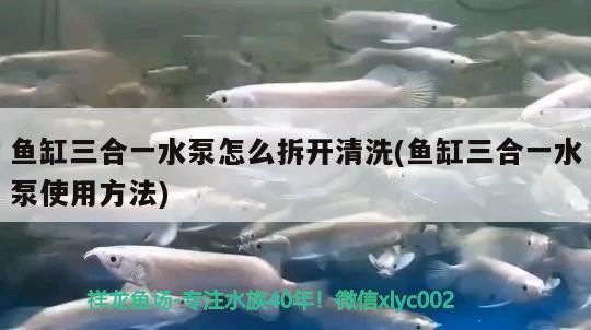 魚缸三合一水泵怎么拆開清洗(魚缸三合一水泵使用方法)