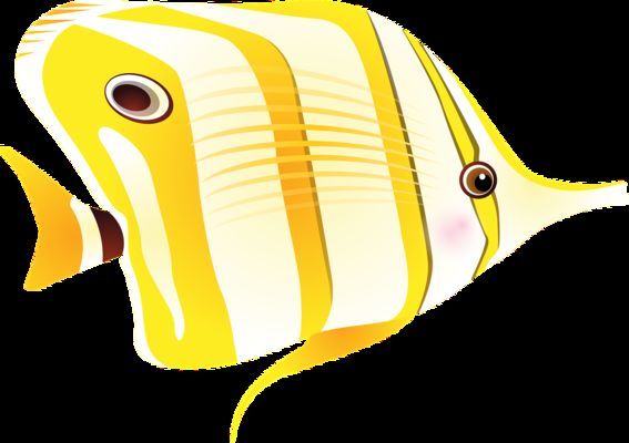 延安龍魚vs延安水族批發市場vs延安水族館vs延安魚缸批發市場vs祥龍魚場：延安水族批發市場