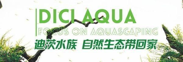 開一個小型水族館多少錢人民幣（開一個小型水族館的初始投資可能在10萬到30萬元之間）