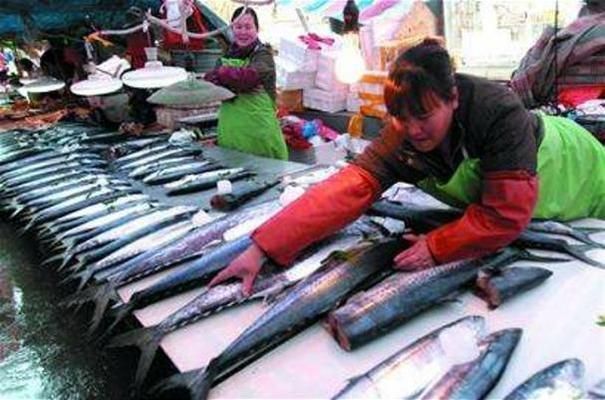 日照龍魚vs日照水族批發(fā)市場vs日照水族館vs日照魚缸批發(fā)市場vs祥龍魚場:日照觀賞魚批發(fā)市場 祥龍魚場各市分站 第4張 日照龍魚vs日照水族批發(fā)市場vs日照水族館vs日照魚缸批發(fā)市場vs祥龍魚場:日照觀賞魚批發(fā)市場 日照龍魚vs日照水族批發(fā)市場vs日照水族館vs日照魚缸批發(fā)市場vs祥龍魚場:日照觀賞魚批發(fā)市場 祥龍魚場各市分站 第4張