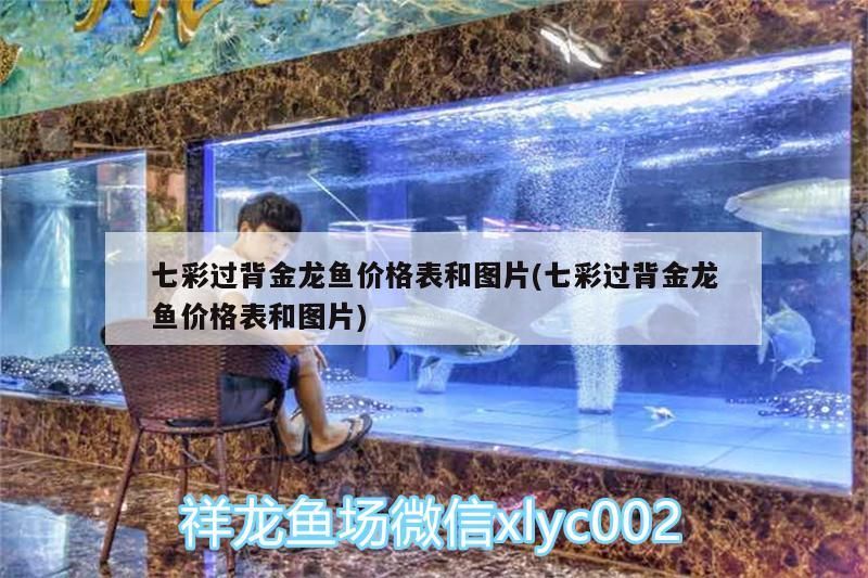 七彩過背金龍魚價格表和圖片(七彩過背金龍魚價格表和圖片) 七彩過背金龍魚價格表和圖片(七彩過背金龍魚價格表和圖片) 金龍魚百科 第2張