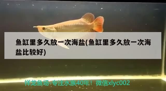 魚缸里多久放一次海鹽(魚缸里多久放一次海鹽比較好)