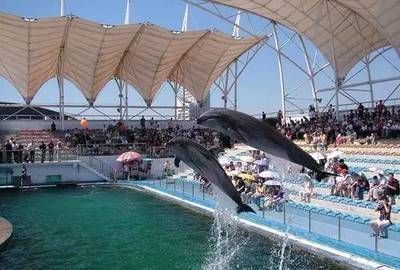 北戴河有水族館嗎（北戴河新澳海底世界游玩攻略） 北戴河有水族館嗎（北戴河新澳海底世界游玩攻略） 水族館百科（水族館加盟） 第5張