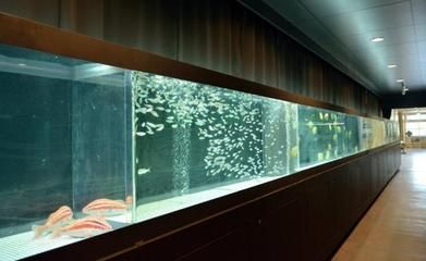水族館怎么經營賺錢（水族館商品銷售策略優化水族館餐飲服務創新方法）
