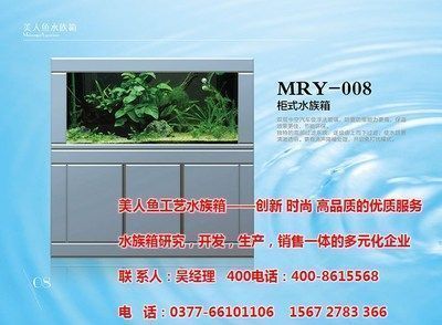 漯河龍魚vs漯河水族批發市場vs漯河水族館vs漯河魚缸批發市場vs祥龍魚場：漯河水族批發市場