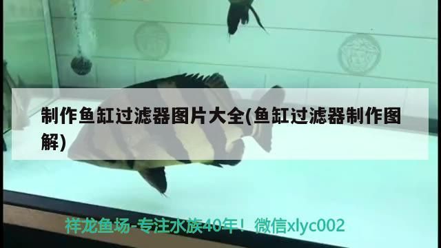 制作魚缸過濾器圖片大全(魚缸過濾器制作圖解)