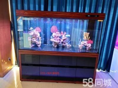 可麗愛魚缸官網專賣店電話號碼多少，可麗愛魚缸加盟條件查詢智拓實業公司地址在哪水族論壇可麗愛魚缸討論