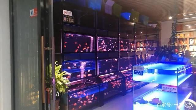 水族館特色服務(wù)提升客流