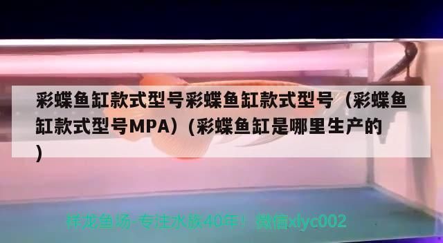 彩蝶魚缸款式型號彩蝶魚缸款式型號（彩蝶魚缸款式型號MPA）(彩蝶魚缸是哪里生產的) 彩蝶魚缸款式型號彩蝶魚缸款式型號（彩蝶魚缸款式型號MPA）(彩蝶魚缸是哪里生產的) 觀賞魚百科